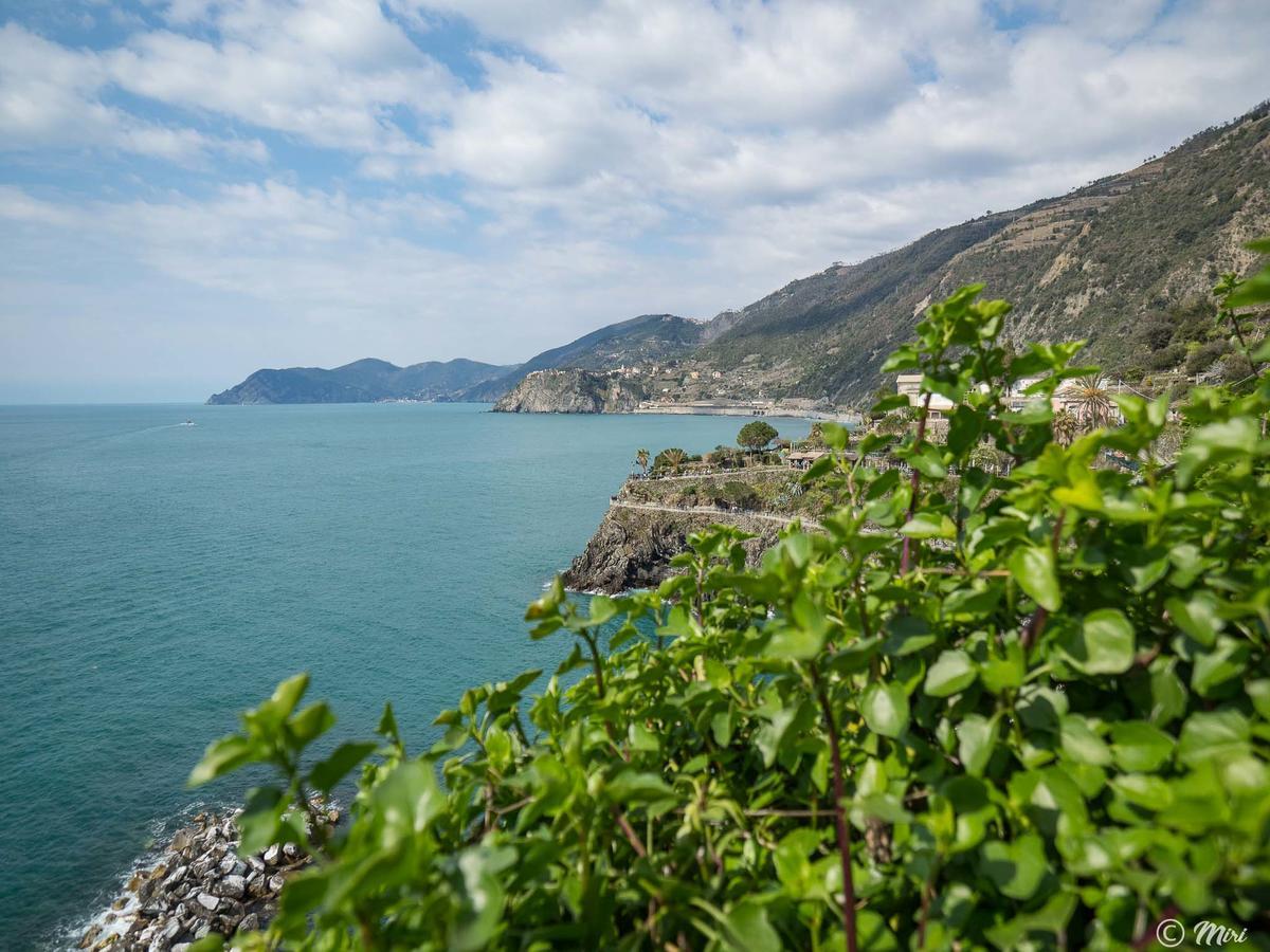 Il Baluardo Sea View Apartment On The Cliff Manarola Exteriör bild